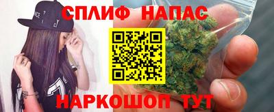 винт Краснодар